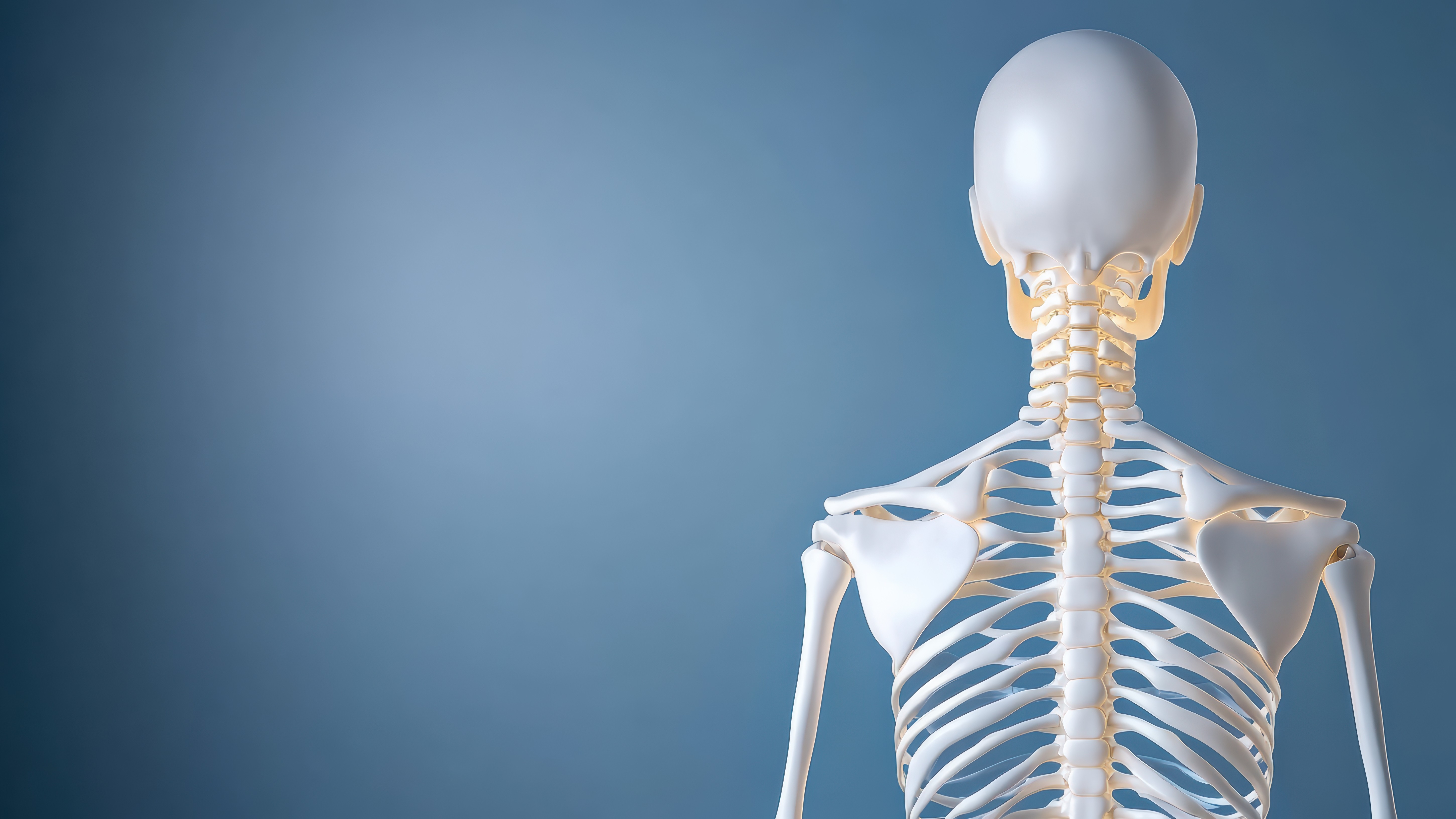 vecteezy_the-human-skeleton-is-shown-in-a-3d-image_71478369111